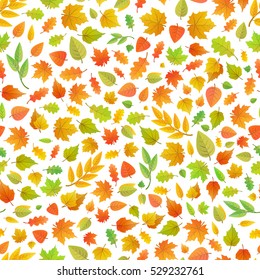 A lot of cute autumn leaves from different kind of trees on white, seamless pattern
