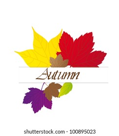 cute autumn leaves over white background. vector illustration