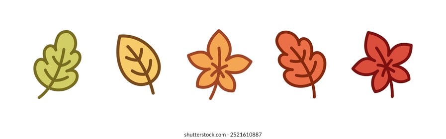 Conjunto de Ilustración vectorial de hojas de otoño lindo.