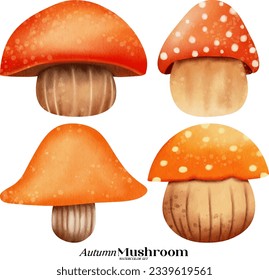 Cute autumn mushroom watercolor illustration set