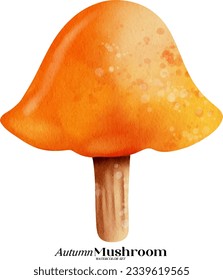Cute autumn mushroom watercolor illustration set