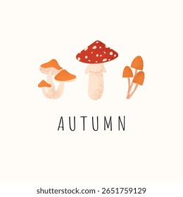 Ilustração de cogumelos de outono bonito. Voe cogumelos agáricos e florestais em estilo minimalista. Cartão botânico de queda quente com elementos da floresta. Design vetorial sobre fundo branco.