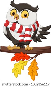 Cute autumn owl cartoon wearing a scarf on tree branches