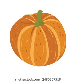 Cute autumn pumpkin. Autumn halloween pumpkin, vegetable graphic icon. Pumpkin Isolated on White. Vector