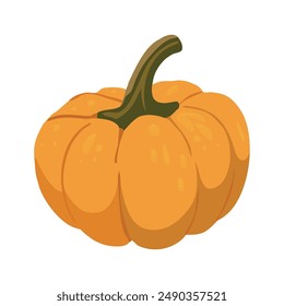 Cute autumn pumpkin. Autumn halloween pumpkin, vegetable graphic icon. Pumpkin Isolated on White. Vector