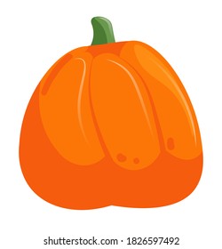 Símbolo de calabaza otoñal lindo vector alimento vitamínico o símbolo de vacaciones aislado en fondo blanco