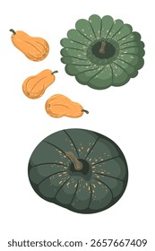 Cute autumn pumpkins, top and side view. Modern vector illustration, isolated on a white background, hand-drawn, flat design