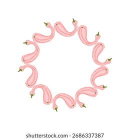 Un lindo marco redondo de otoño con calabazas rosas. Esta composición otoñal está enmarcada en un marco ondulado. Las calabazas están dispuestas en un círculo. Ilustración vectorial sobre un fondo blanco