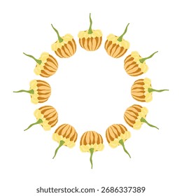 Uma bela moldura redonda de outono com abóboras amarelas e marrons. Esta composição de outono está enquadrada. As abóboras estão dispostas em círculo. Ilustração vetorial sobre fundo branco