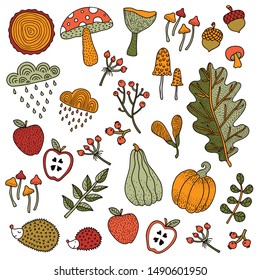 Cute autumn set. Vintage illustration.