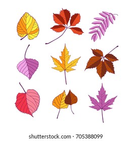 Cute autumn vector elements collection, colorful cartoon. Hand drawing isolated flowers and leaves. Stylized illustration, background for banner, greeting card, textile, invitation, wrapping, printing