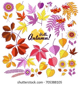 Cute autumn vector elements collection, colorful cartoon. Hand drawing isolated flowers and leaves. Stylized illustration, background for banner, greeting card, textile, invitation, wrapping, printing