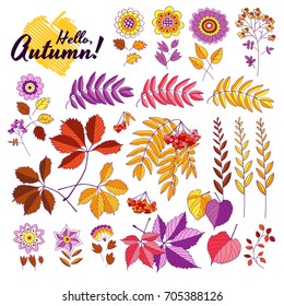 Cute autumn vector elements collection, colorful cartoon. Hand drawing isolated flowers and leaves. Stylized illustration, background for banner, greeting card, textile, invitation, wrapping, printing