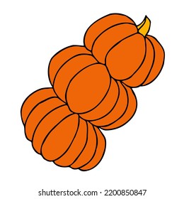 Cute autumn vector illustration, hand drawn pumpkins, isolated on white background