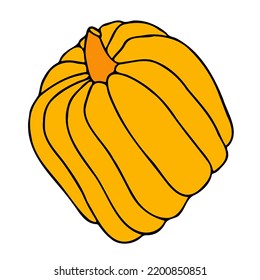 Cute autumn vector illustration, hand drawn pumpkins, isolated on white background