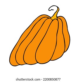 Cute autumn vector illustration, hand drawn pumpkins, isolated on white background