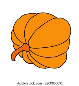 Cute autumn vector illustration, hand drawn pumpkins, isolated on white background