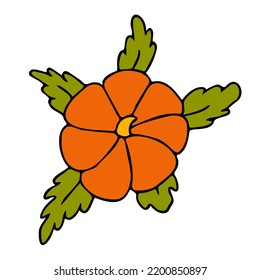 Cute autumn vector illustration, hand drawn pumpkins, isolated on white background