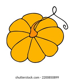 Cute autumn vector illustration, hand drawn pumpkins, isolated on white background