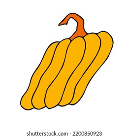 Cute autumn vector illustration, hand drawn pumpkins