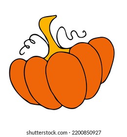 Cute autumn vector illustration, hand drawn pumpkins, isolated on white background
