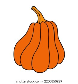 Cute autumn vector illustration, hand drawn pumpkins, isolated on white background