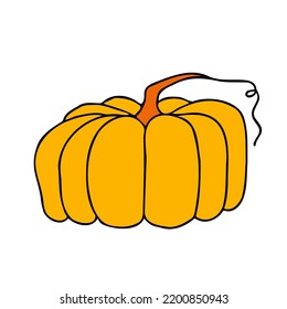 Cute autumn vector illustration, hand drawn pumpkins, isolated on white background