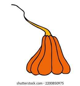 Cute autumn vector illustration, hand drawn pumpkins, isolated on white background