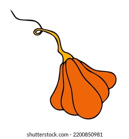 Cute autumn vector illustration, hand drawn pumpkins, isolated on white background