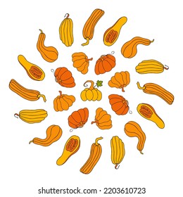 Ilustración vectorial de otoño, calabazas dibujadas a mano, composición redonda colorida, aislada en fondo blanco