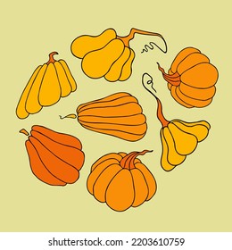 Cute autumn vector illustration, hand drawn pumpkins, abstract colorful design