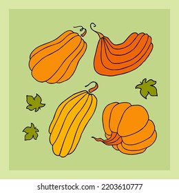 Cute autumn vector illustration, hand drawn pumpkins, abstract colorful design