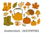 Cute autumn vector illustration of pumpkins, mushrooms, hedgehog, boots, socks, teapot and fall leaves in flat cartoon style isolated on white background.