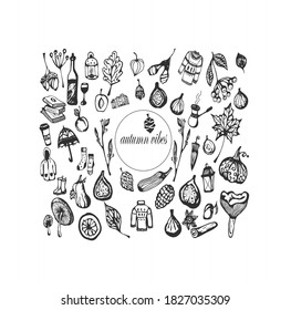 Cute autumn vibes set for seasonal design. Black and white hand drawn doodle vector illustration.