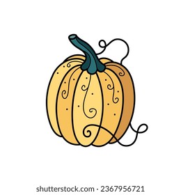 Cute autumn yellow pumpkin with ornament hand drawn clipart