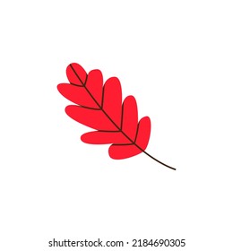Cute autumnal red leaf. Colorful fallen tree leaves. Autumn atmosphere. Seasonal forest nature leafage and september. Botany foliage element. Modern fall seasonal decor. 