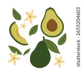 Cute Avocado Fruit Clipart Vector Set with Leaves and Flowers in Flat Style Isolated on White Background for Food, Summer, and Healthy Living Design