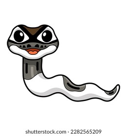 Cute axanthic pied ball python cartoon