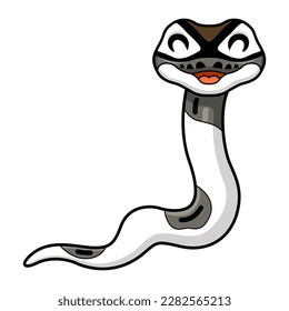 Cute axanthic pied ball python cartoon
