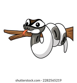 Cute axanthic pied ball python cartoon on tree branch