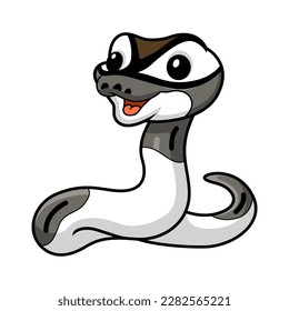 Cute axanthic pied ball python cartoon