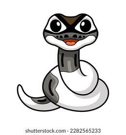 Cute axanthic pied ball python cartoon