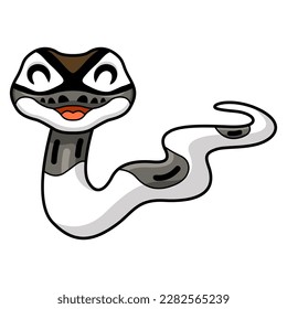 Cute axanthic pied ball python cartoon