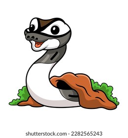 Cute axanthic pied ball python cartoon out from hole