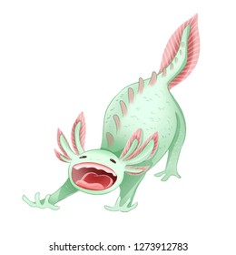 Cute Axolotl Ambystoma mexicanum isolated image. Yawning axolotl