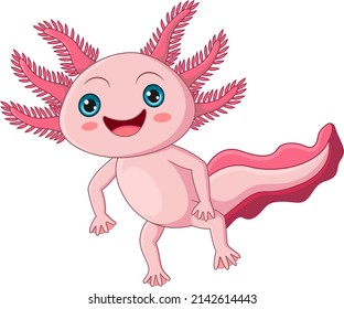 Cute axolotl cartoon on white background