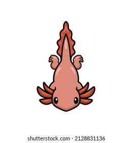 Cute axolotl cartoon swimming. Vector illustration