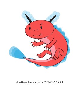 cute axolotl illustration cartoon character