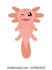 cute axolotl on white background