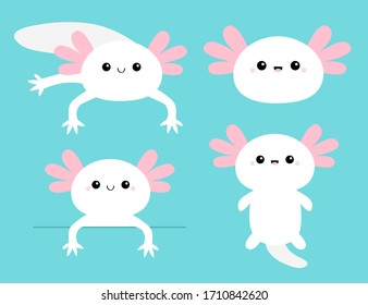 Cute axolotl set 